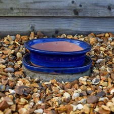 Bonsai Pot and Tray Ceramic