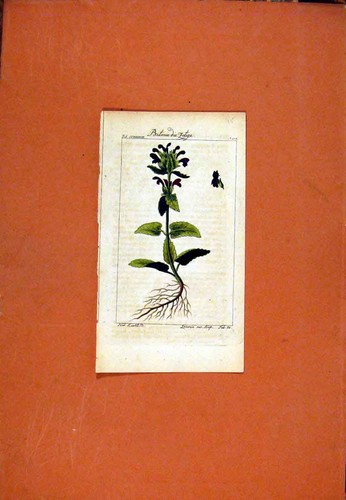 Old antique print berlin - print,