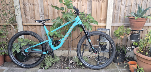 Santa cruz bronson - bronson, xl
