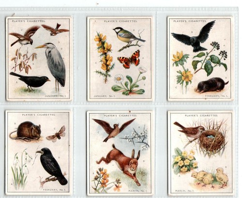 Players nature calendar - players:,