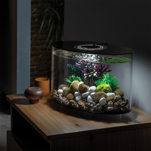 Biorb loop aquarium fish - loop, tank