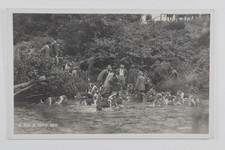 Stag Hunting at Kents Weir