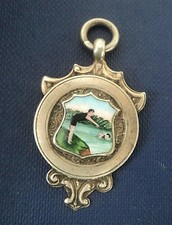 Attractive Silver Enamel