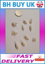 White aquarium snail - white,