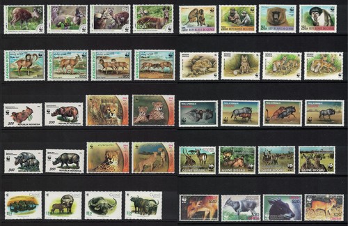 Wild animals big - wild,