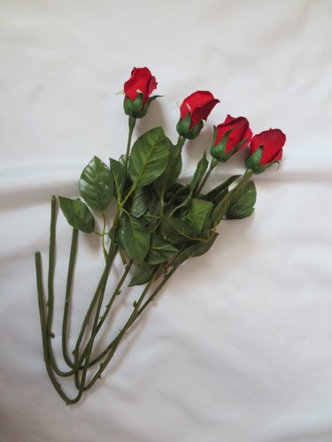 Red rose buds long stem - rose,