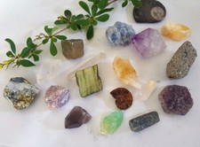 Natural raw crystal fossil - natural, &