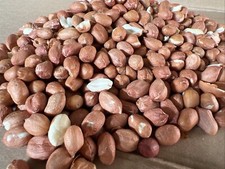 PEANUTS WILD BIRD 5KG PREMIUM QUALITY Kernels Bird Food Nuts JUMBO PEANUTS