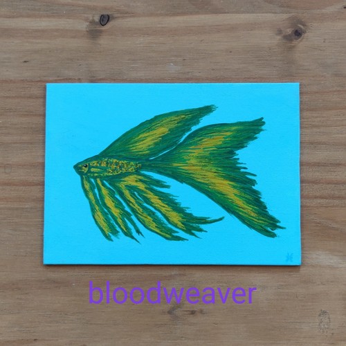 Betta tropical fish green