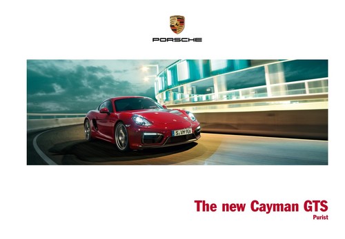 Porsche cayman gts 14 - gts, 03/14