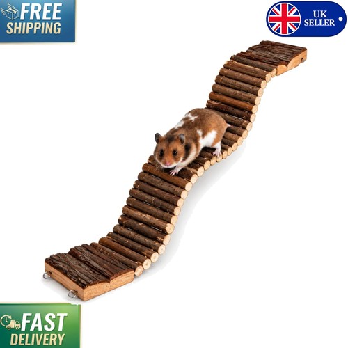 Fun functional suspension - functional,