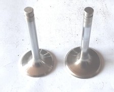 Anti magnetic valve - valve, desmo