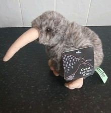 New Zealand Great Spotted Kiwi