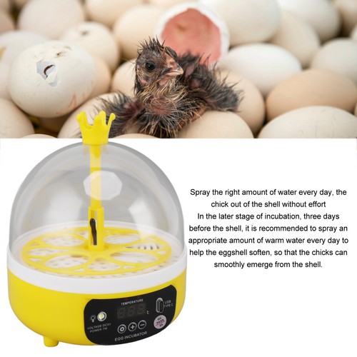 Mini egg incubator for home - mini,