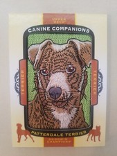 Canine Companions Patterdale