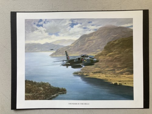 Military aviation print - military,