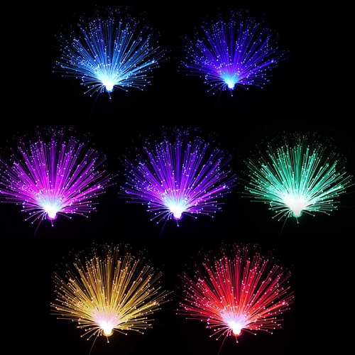 Fibre optic light - light, color