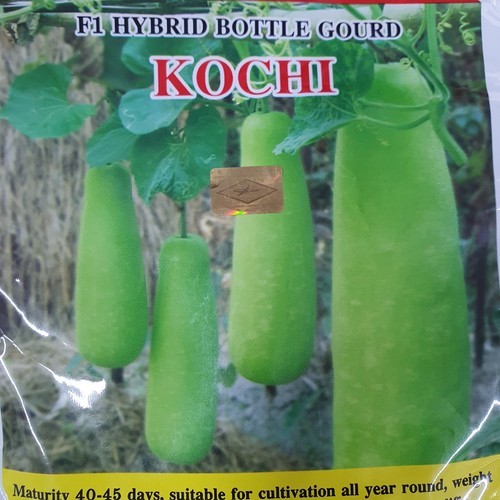 Kochi hybrid bottle gourd - f1,