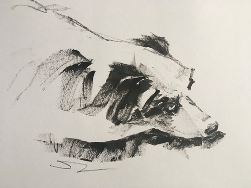 Original signed ink - original, sketch
