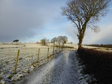Photo 6x4 Country lane, Carony