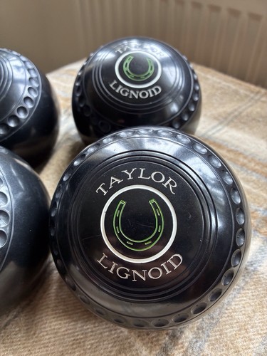 Taylor lignoid size 3m - taylor,