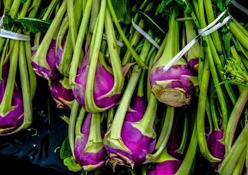 Kohlrabi red plug plants - red,