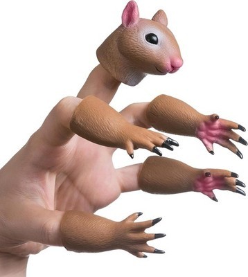 Squirrel finger puppet - finger, mini