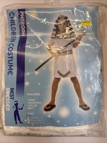 Egyptian dress costume - up,