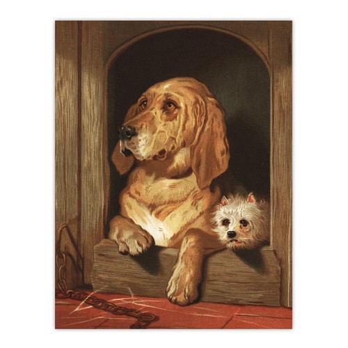 Dignity and impudence dog - and,