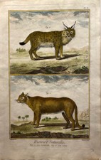 Natural History, Martinet Del, Bernard Fecit, Diderot And Set'