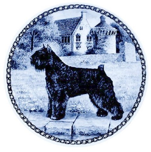 Bouvier des flanders - bouvier,