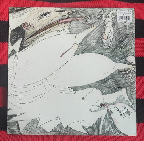 Rudimentary peni echoes of - peni,