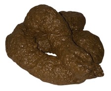 Fake Dog Lucy Poop Doggie Poo