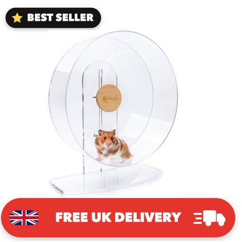 Silent hamster exercise - exercise, wheel