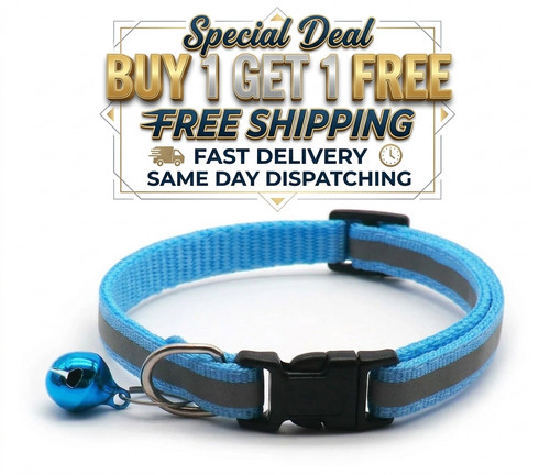 Pack reflective cat collars - 12,