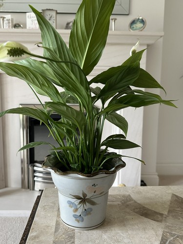 Highland stoneware pottery - stoneware,