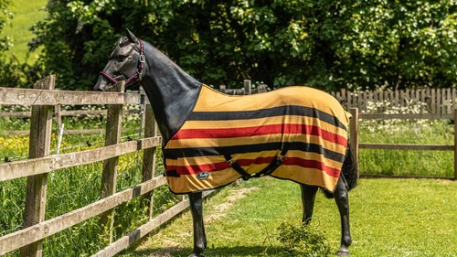 Gallop newmarket fleece - -,