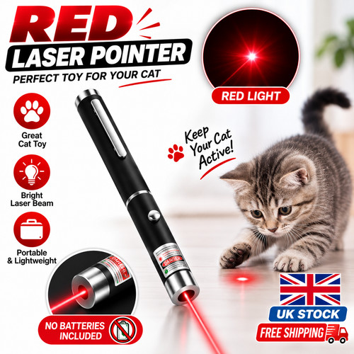 Red laser pointer pen - pen, light
