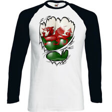 Torn Ripped Welsh Flag Mens Wales T-Shirt Rugby Banner Cymru St Davids Day Top
