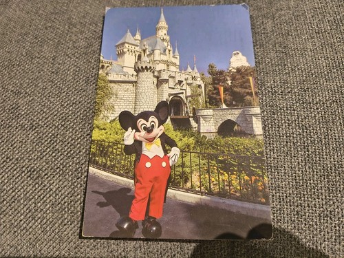 Disneyland mickey welcomes you - disneyland,