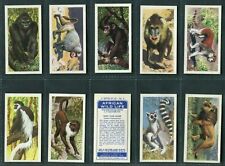 BROOKE BOND - AFRICAN & ASIAN