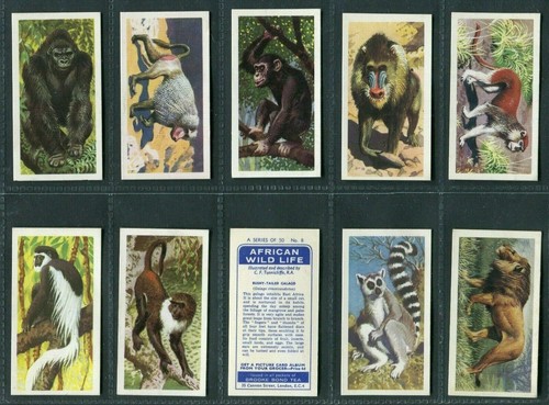 Brooke bond african asian - brooke,