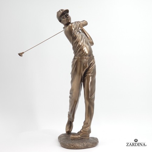 Pro golfer large - pro, figurative