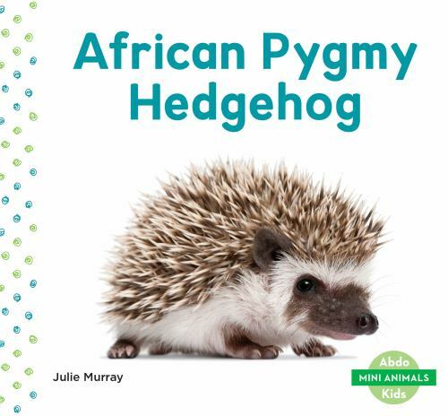 African pygmy hedgehog - african, by