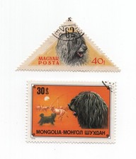 HUNGARIAN PULI VINTAGE DOG