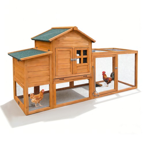 Chicken coop with - chicken,