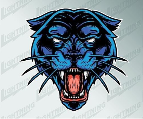 Panther angry face - angry,