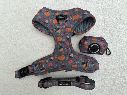 Pawsome paws boutique - paws, autumn