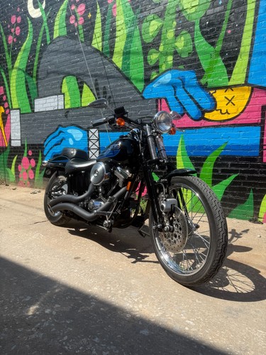 1995 harley davidson fxstsb - 1995,