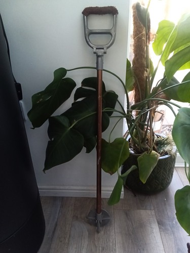 Vintage foldable seat shooting - vintage,